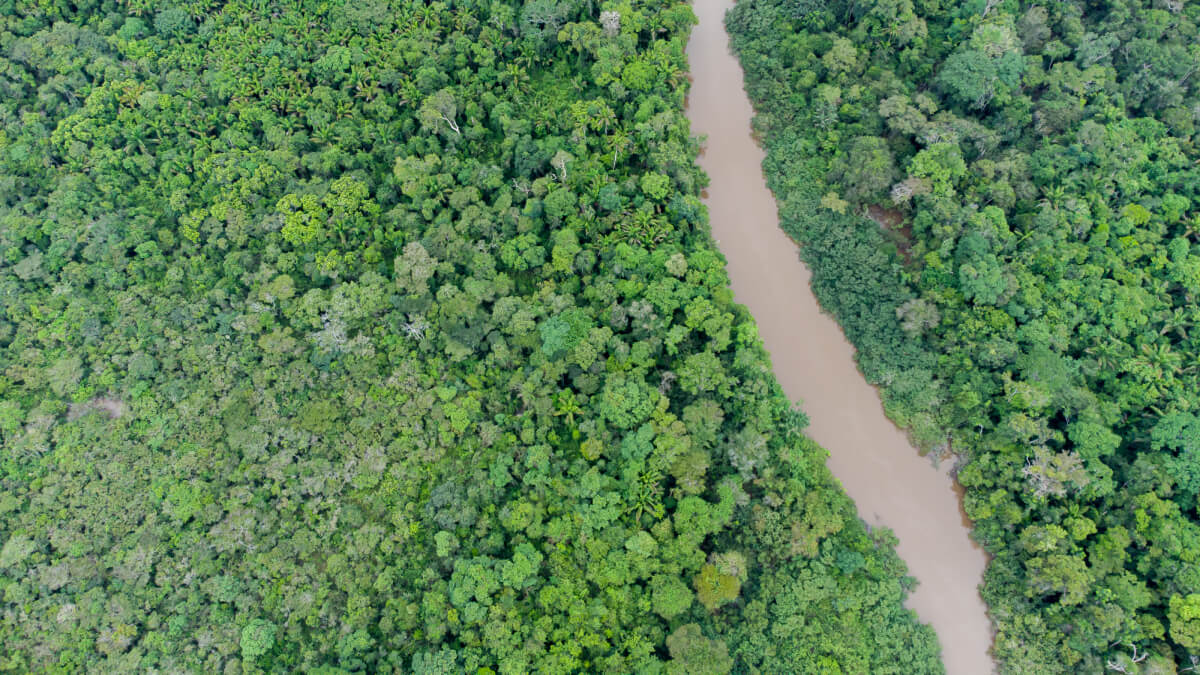 Somos Amazonía