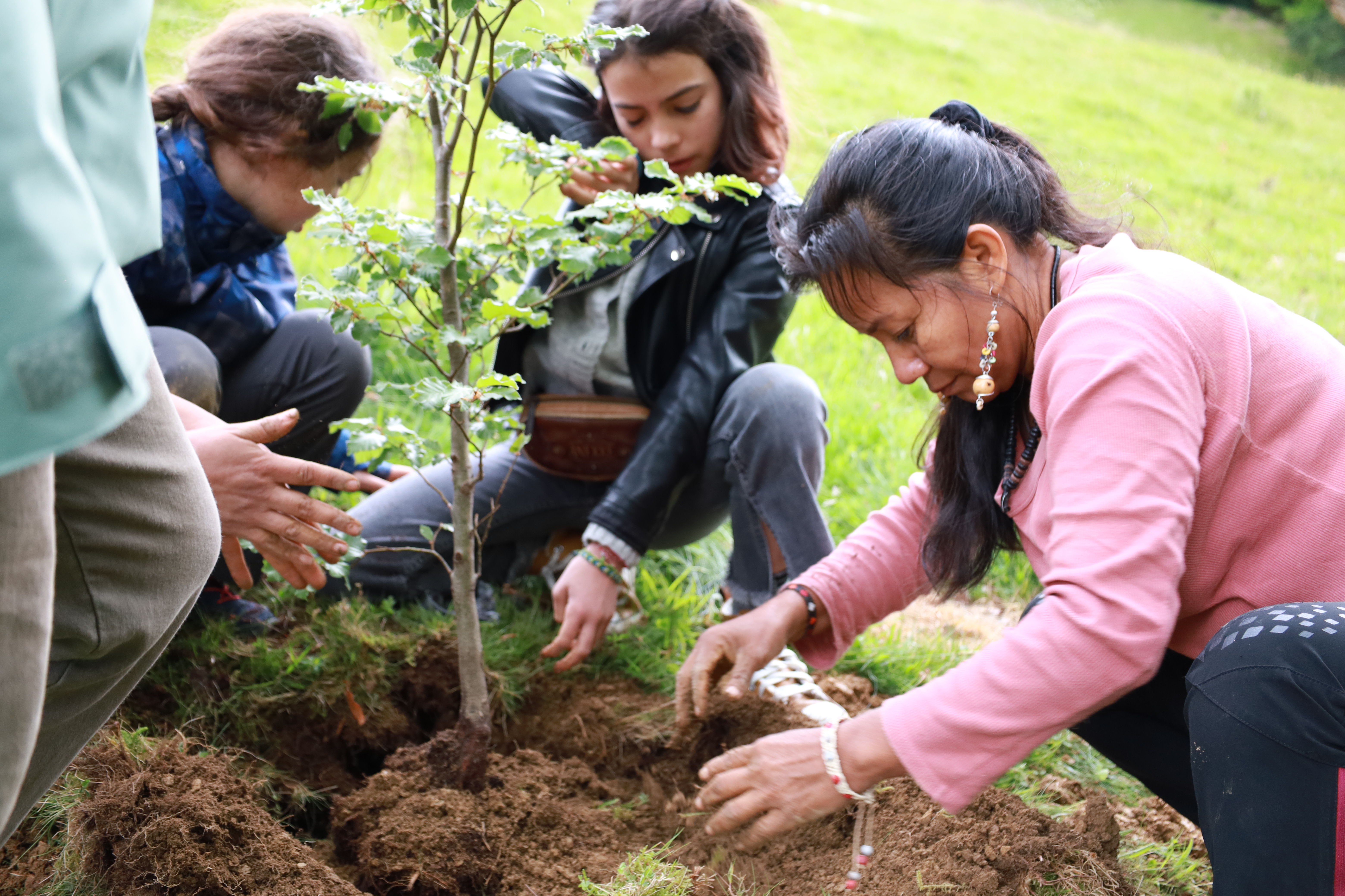 Cuerpo-Territorio y Defensa de la Vida: Ecofeminismo, Violencias y Resistencias