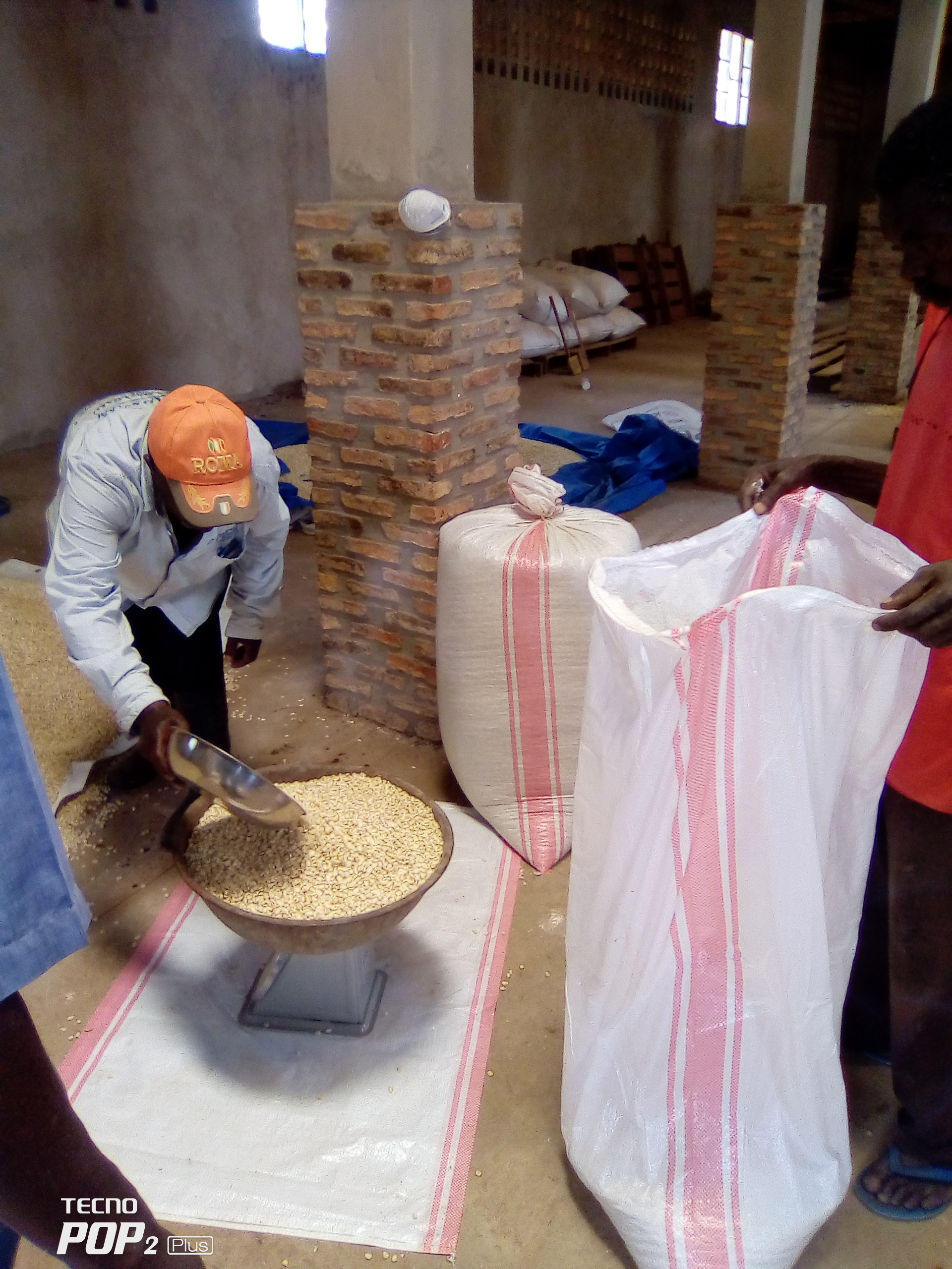 Agricultura familiar en riesgo: pesticidas peligrosos y escasez de semillas limitan la productividad en Burundi