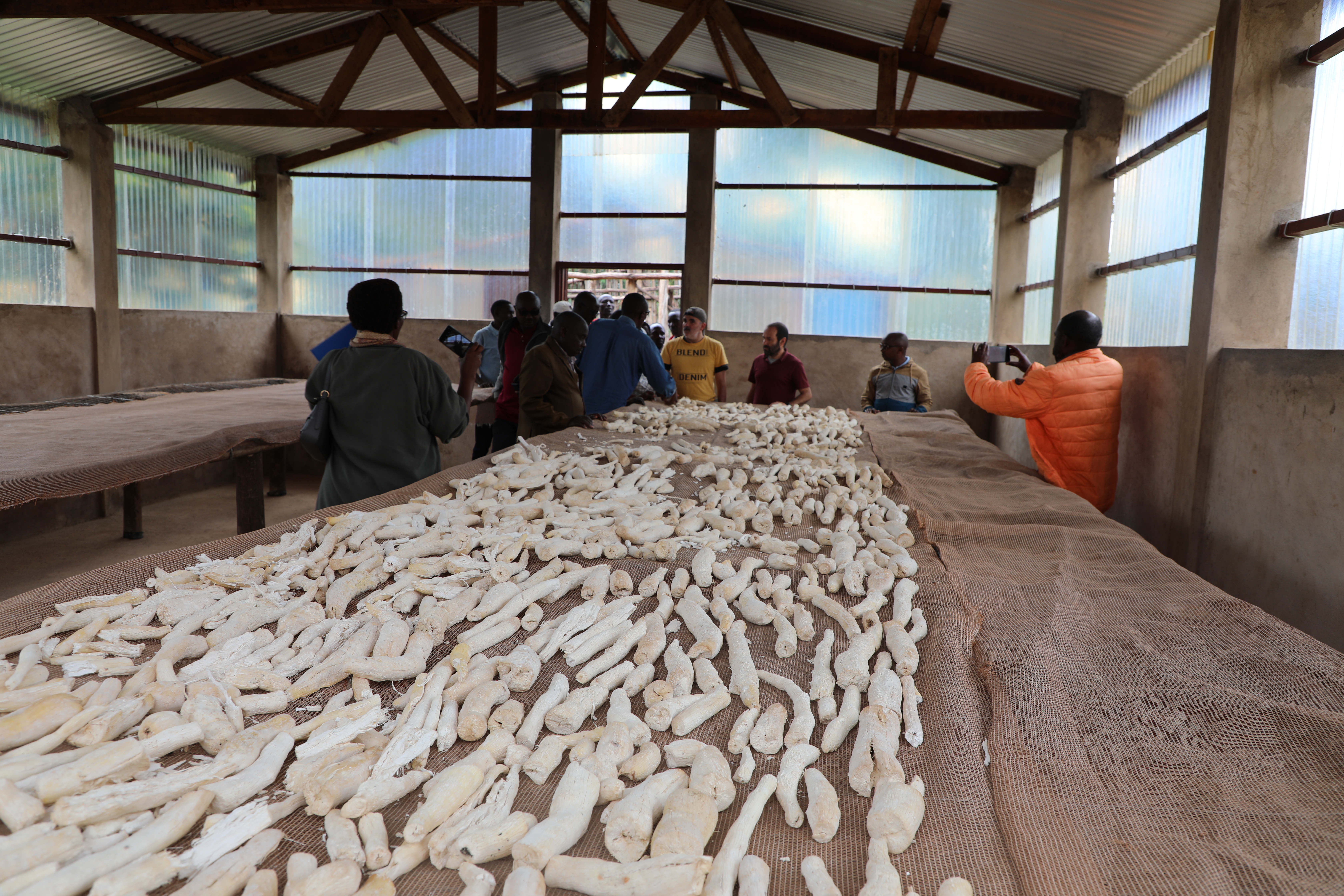 Agroindustria y transformación: claves para el desarrollo económico y alimentario de Burundi