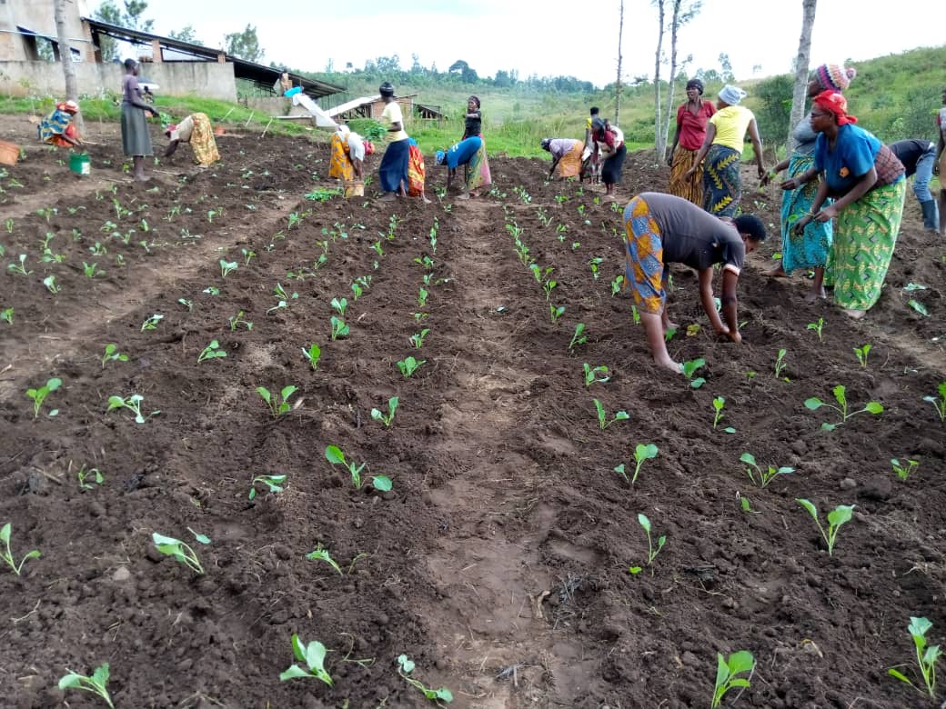 Sin herencia, sin poder: la tierra sigue en manos de hombres en Burundi
