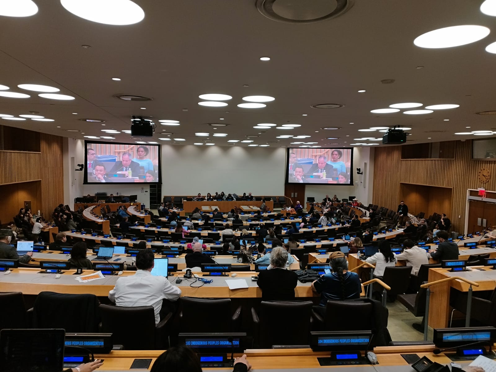 Redes territoriales de ecología integral establecen diálogos con el Relator de Pueblos Indígenas y la Misión Permanente de España ante la ONU