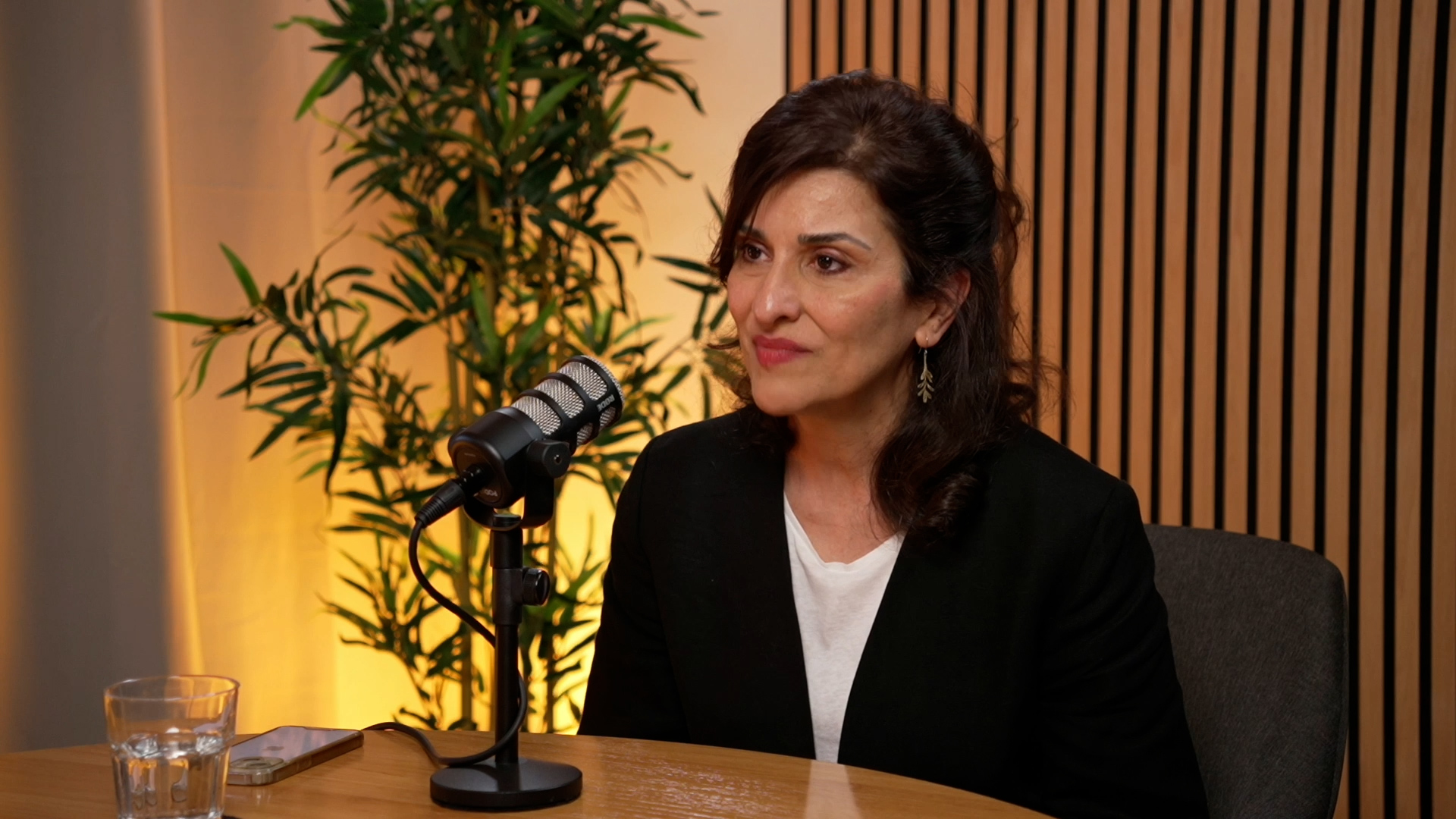 Ryma Sheermohammadi: «la libertad no se exporta con bombas»