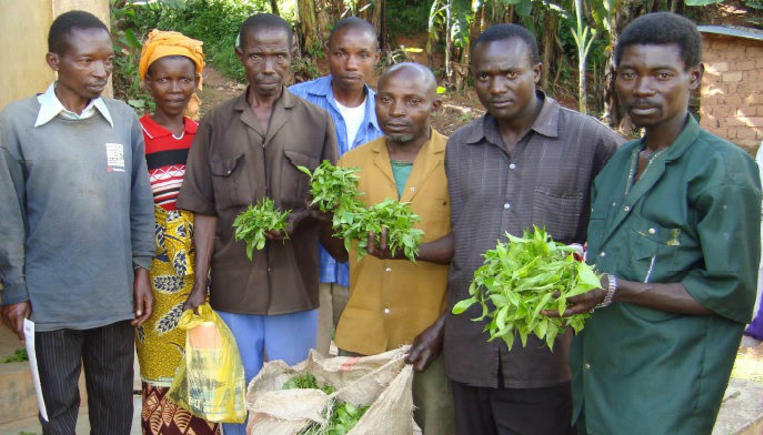 burundi