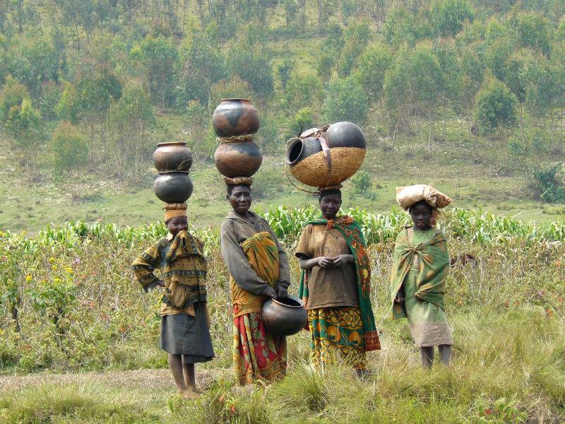 Burundi: ALBOAN apoya cooperativas agrícolas