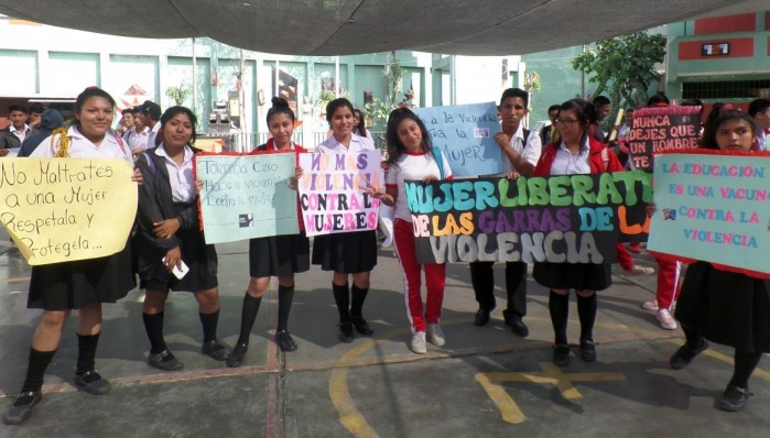 EL COLEGIO DE ABOGADOS DE PAMPLONA Y LA DEFENSA DE LOS DERECHOS DE LAS MUJERES EN PERÚ