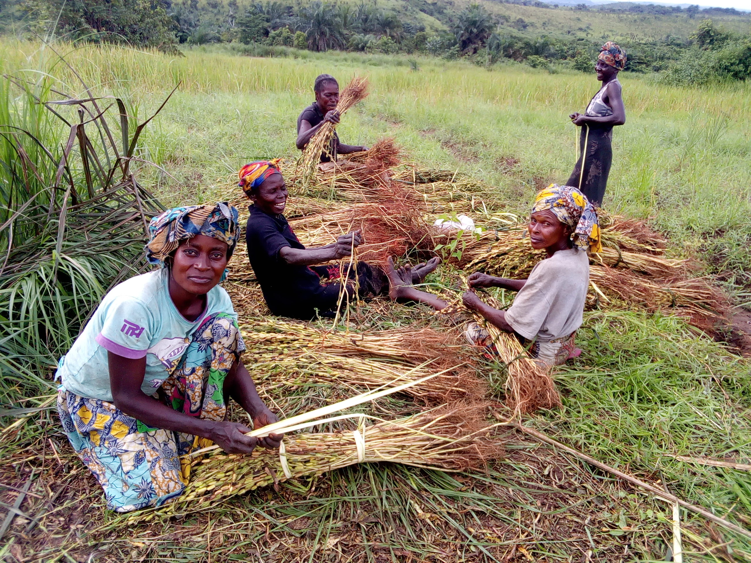 Udapa renueva su compromiso con las cooperativas agrarias de R.D. Congo