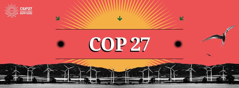 COP27 COP27