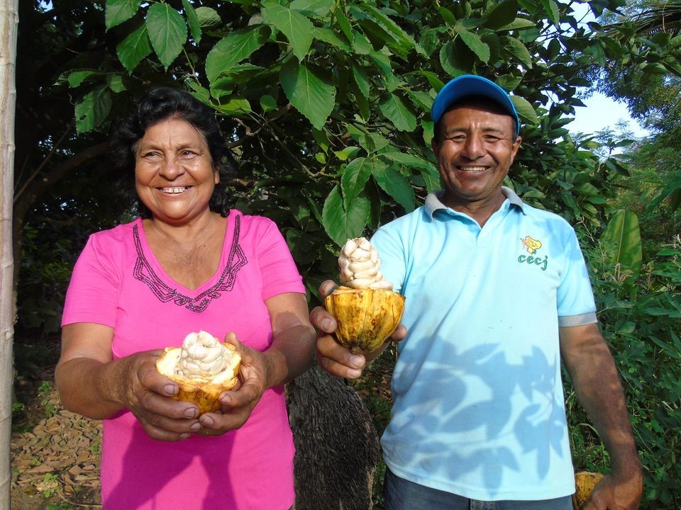 Fundación Jayroa apoya la agricultura familiar y el emprendimiento rural en Perú