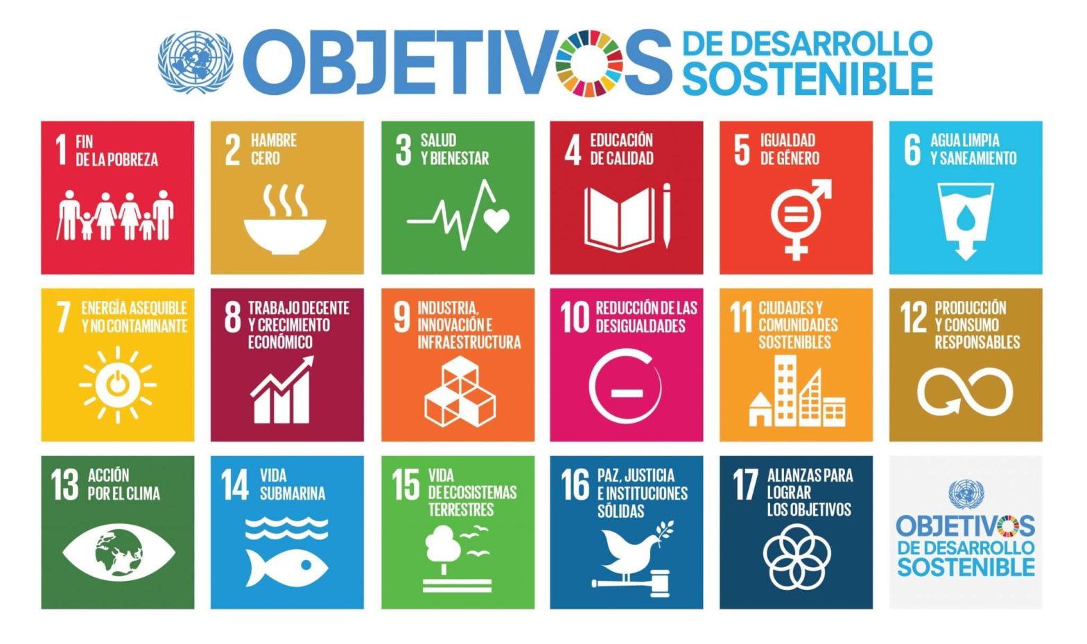 Alboan ofrece formación gratuita en ODS y Agenda 2030 para empresas 