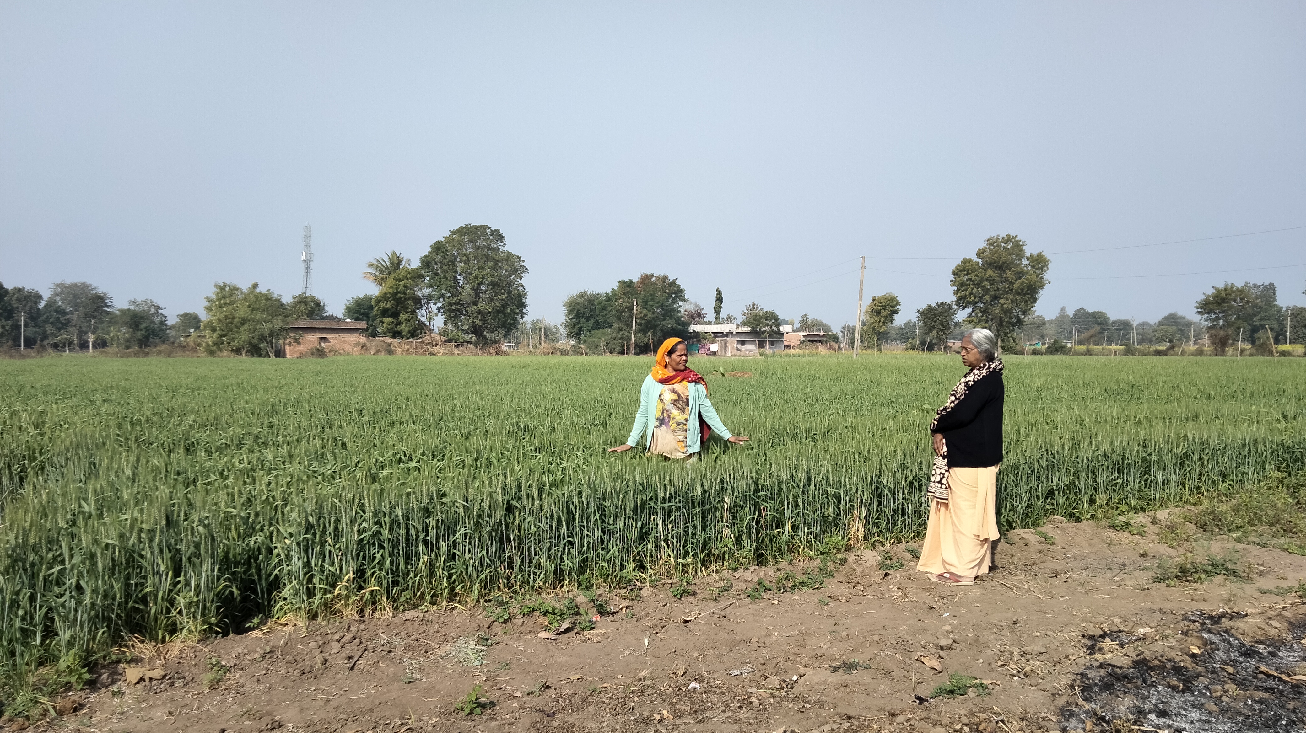 Aravalli Aravalli