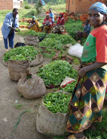 burundi