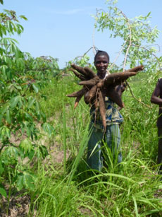 congo campo