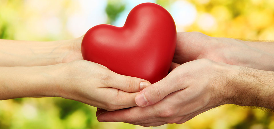 importancia donativos para las ong
