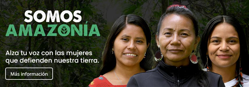 Amazonia gara