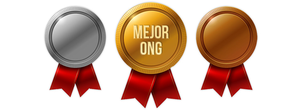 cual es la mejor ong para donar